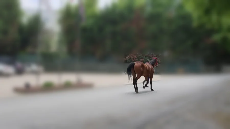 Example of a poorly-angled clip filmed from an oblique angle rather than side-on